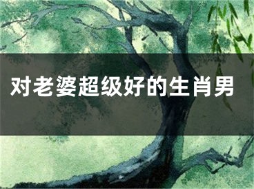 对老婆超级好的生肖男