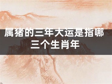 属猪的三年大运是指哪三个生肖年