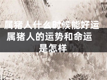 属猪人什么时候能好运 属猪人的运势和命运是怎样
