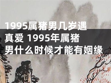 1995属猪男几岁遇真爱 1995年属猪男什么时候才能有姻缘