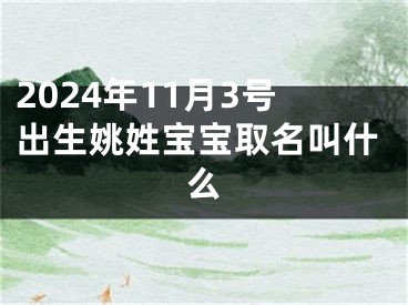 2024年11月3号出生姚姓宝宝取名叫什么