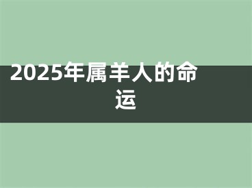 2025年属羊人的命运