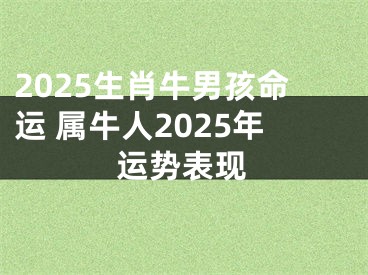 2025生肖牛男孩命运 属牛人2025年运势表现