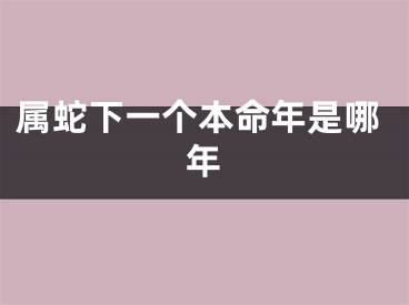 属蛇下一个本命年是哪年