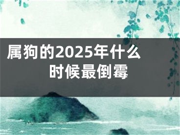 属狗的2025年什么时候最倒霉