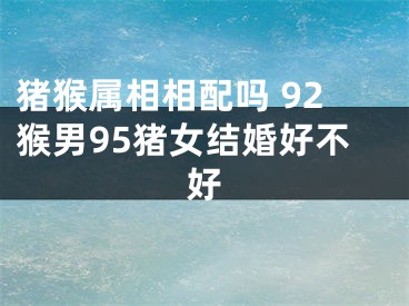 猪猴属相相配吗 92猴男95猪女结婚好不好