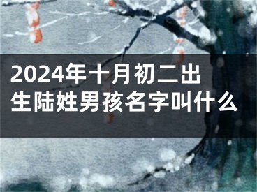 2024年十月初二出生陆姓男孩名字叫什么