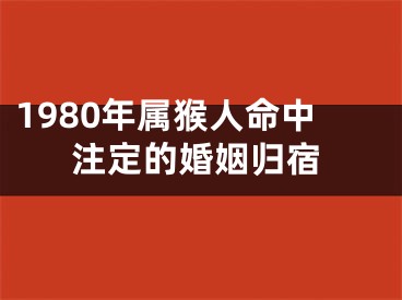 1980年属猴人命中注定的婚姻归宿