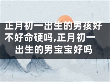 正月初一出生的男孩好不好命硬吗,正月初一出生的男宝宝好吗