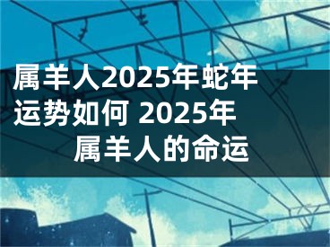 属羊人2025年蛇年运势如何 2025年属羊人的命运