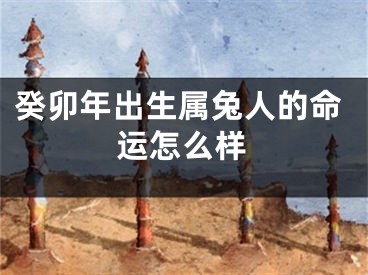 癸卯年出生属兔人的命运怎么样