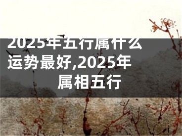 2025年五行属什么运势最好,2025年属相五行