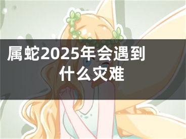 属蛇2025年会遇到什么灾难