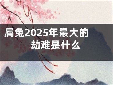 属兔2025年最大的劫难是什么