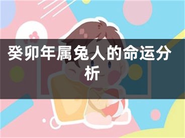 癸卯年属兔人的命运分析