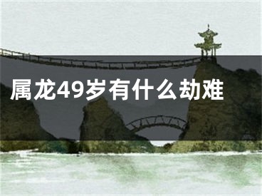 属龙49岁有什么劫难