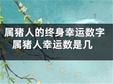 属猪人的终身幸运数字 属猪人幸运数是几