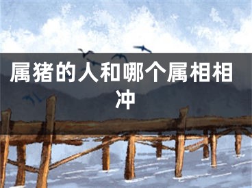 属猪的人和哪个属相相冲