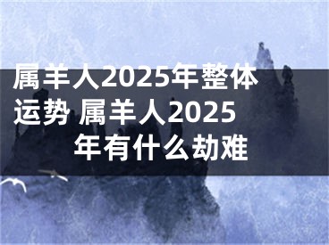 属羊人2025年整体运势 属羊人2025年有什么劫难