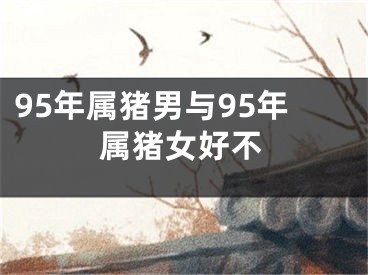 95年属猪男与95年属猪女好不