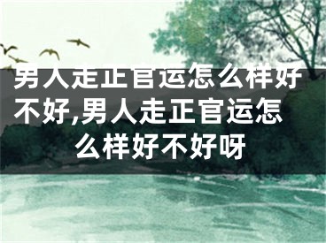 男人走正官运怎么样好不好,男人走正官运怎么样好不好呀