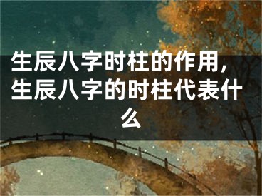 生辰八字时柱的作用,生辰八字的时柱代表什么