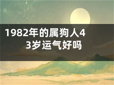 1982年的属狗人43岁运气好吗