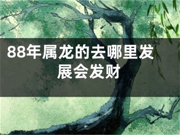 88年属龙的去哪里发展会发财