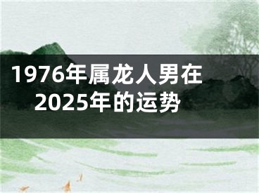 1976年属龙人男在2025年的运势