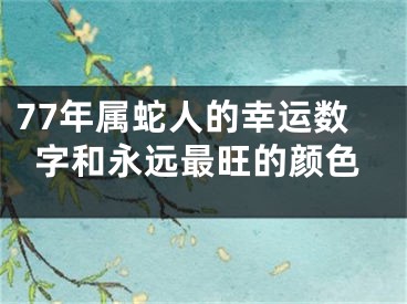 77年属蛇人的幸运数字和永远最旺的颜色