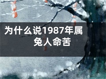 为什么说1987年属兔人命苦