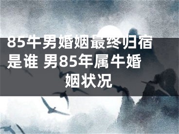 85牛男婚姻最终归宿是谁 男85年属牛婚姻状况
