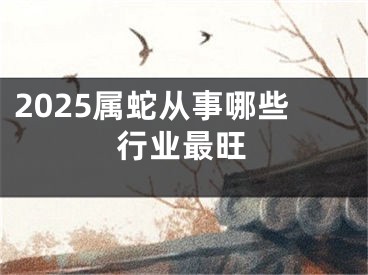 2025属蛇从事哪些行业最旺
