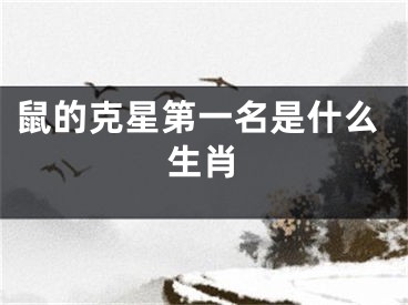 鼠的克星第一名是什么生肖