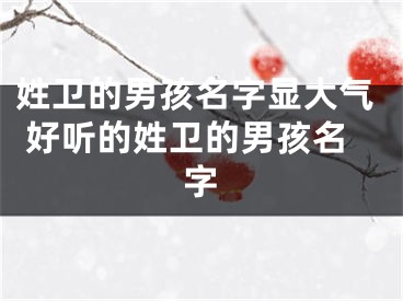 姓卫的男孩名字显大气 好听的姓卫的男孩名字
