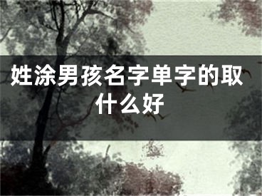 姓涂男孩名字单字的取什么好