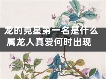龙的克星第一名是什么 属龙人真爱何时出现