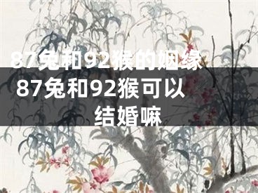 87兔和92猴的姻缘 87兔和92猴可以结婚嘛