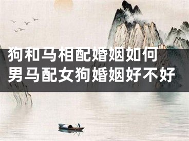 狗和马相配婚姻如何 男马配女狗婚姻好不好
