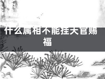什么属相不能挂天官赐福 