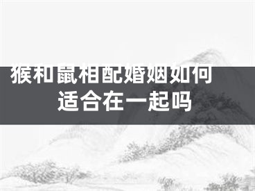 猴和鼠相配婚姻如何 适合在一起吗