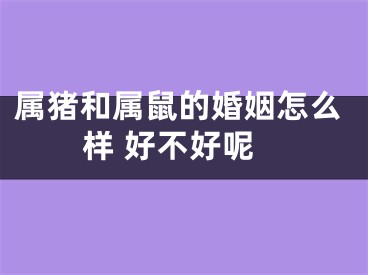 属猪和属鼠的婚姻怎么样 好不好呢