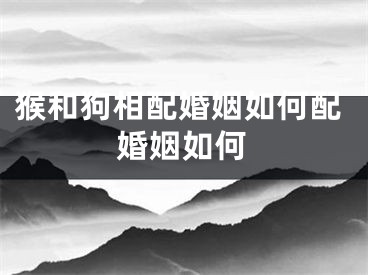 猴和狗相配婚姻如何配婚姻如何