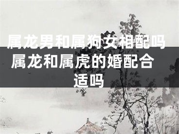 属龙男和属狗女相配吗 属龙和属虎的婚配合适吗