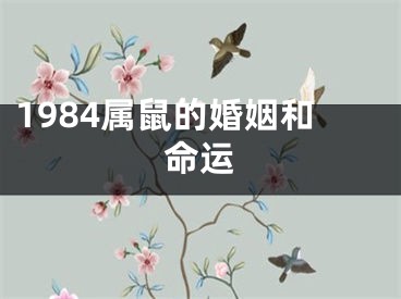1984属鼠的婚姻和命运