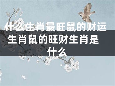 什么生肖最旺鼠的财运 生肖鼠的旺财生肖是什么