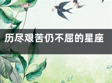 历尽艰苦仍不屈的星座
