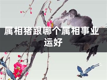 属相猪跟哪个属相事业运好