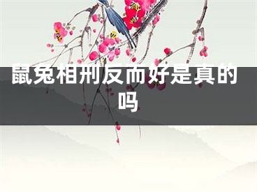 鼠兔相刑反而好是真的吗