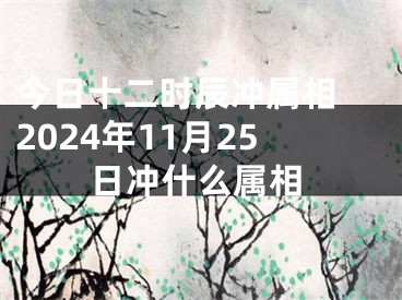 今日十二时辰冲属相 2024年11月25日冲什么属相